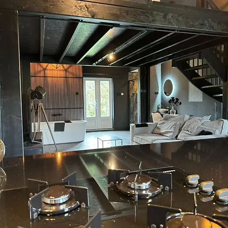 Luxury Loft Lägenhet Velddriel