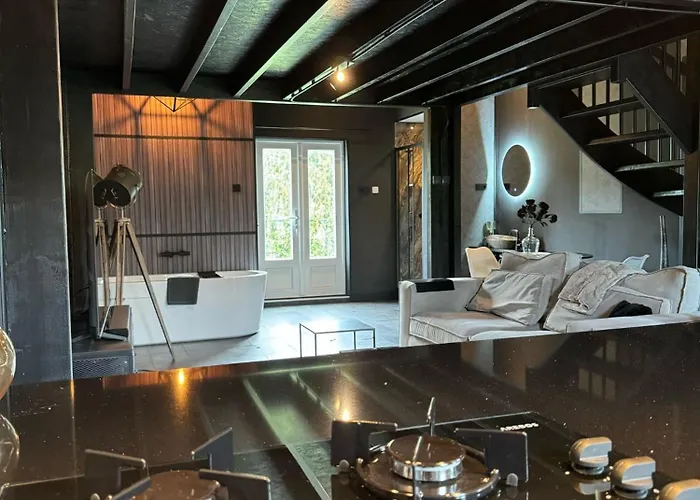 Luxury Loft Apartman Velddriel